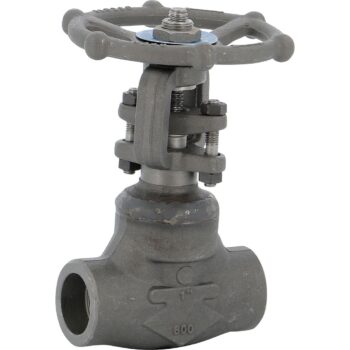 Robinet Vanne à opercule SW Corps Acier forgé A182 Class 800 TRIM 5 - Haute performance pour applications spéciales