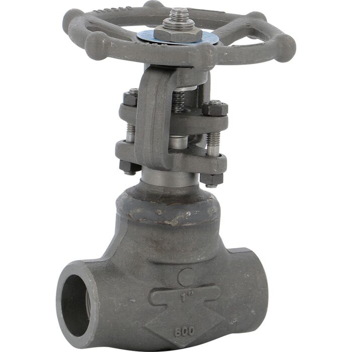 Robinet Vanne à opercule SW Corps Acier forgé A182 Class 800 TRIM 5 - Haute performance pour applications spéciales
