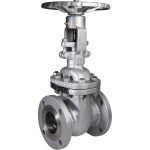 Vanne à opercule acier à brides class150 trim8 PN20 DN50