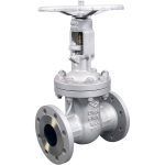 Vanne à opercule acier à brides trim8 PN16 DIN long DN50