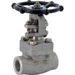 Vanne à opercule inox forgé class800 trim10 femelle femelle NPT 1/2''