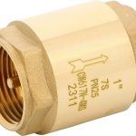 Clapet non retour double guidage laiton ACS 4MS 1/2''