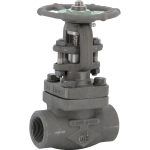 Robinet à soupape à soufflet acier forgé femelle femelle NPT 1/2''