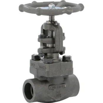 Robinet à soupape acier forgé class800 trim8 à souder Socket Welding SW10