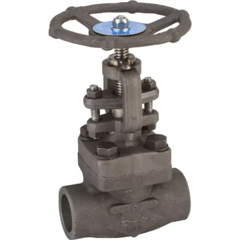 Robinet à soupape acier forgé class800 trim12 femelle femelle NPT 1/2''