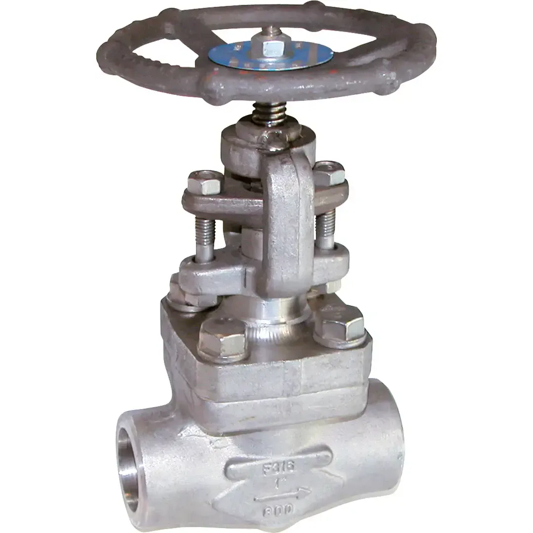 452-robinet-soupape-inox-800lbs-trim10-sw Robinet à soupape inox forgé class800 trim10 à souder Socket Welding SW 10