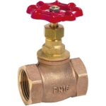 Robinet à soupape taraudé en bronze à chapeau vissé Siège PTFE