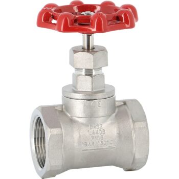 Vanne à soupape Inox Clapet Inox PN16 Taraudé BSP - Résistance maximale à la corrosion