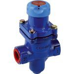 DETENDEUR BDV25 FGS PN25 1/2'' 0,14-1,7b