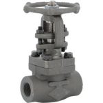 Vanne à Opercule Forgée NPT Acier A350 LF2 CL800 Trim 12 - SFERACO 118