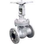 Vanne opercule acier Ref.141