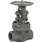 Robinet soupape soufflet acier forgé A105N CL600 TRIM8 FF BSP - SFERACO 404