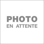 Diaphragme NBR AIT BRONZE+INOX 1"1/2