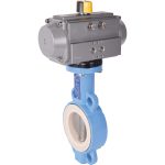 Robinet à Papillon Alimentaire Fonte/Inox/EPDM — DN40 à DN600, TTV 1153