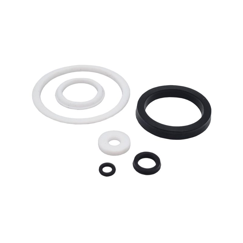 Kit joints réducteur de pression vapeur PRV-S ELITE inox